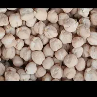 نخودمحلی ۲۴۰