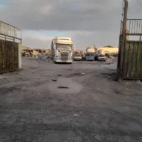 خریدار کارتن