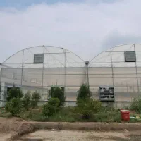 کارگر گلخانه خانم