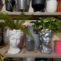 گلخانه گل و گیاه گلپایگانی .