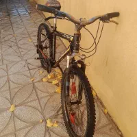 دوچرخه|دوچرخه، اسکیت، اسکوتر|اسلامیه, |دیوار