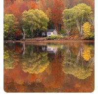 به یک هم خونه نیازمندم