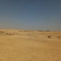 زمین‌های کشاورزی نرسیدهدب شهرک بختیاری