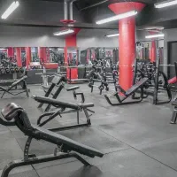 راه اندازی باشگاه بدنسازی و فیتنس صفر تا صد