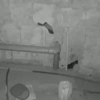لوله کش آب