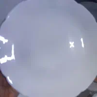 آرکوپال دینو نیلوفری|ظروف سرو و پذیرایی|اسلام‌شهر, زرافشان|دیوار