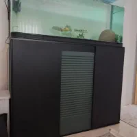 آکواریوم شیشه خم