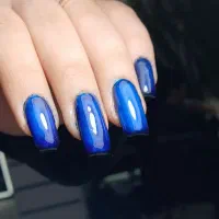 نایل ارتیستم