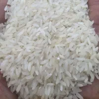 برنج عنبربو با عطر بو درجه یک