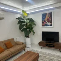 درخمنچه مصنوعی