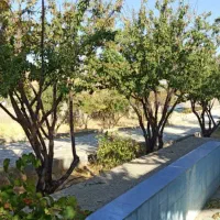 فروش باغشهری شهید پرویزی|فروش زمین و ملک کلنگی|شیراز, مجتمع شهید پرویزی|دیوار