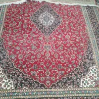 قالی ۶متری|فرش|تربت جام, معدآباد|دیوار