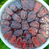 خرمای کبکاب درشت