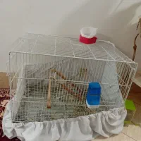 قفس پرنده بزرگ