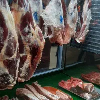 پخش گوشت|خوردنی و آشامیدنی|رشت, دیلمان|دیوار