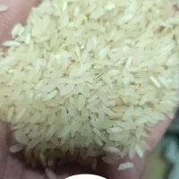 برنج عنبربو / عنبر / کامفیروز|خوردنی و آشامیدنی|شیراز, میانرود|دیوار