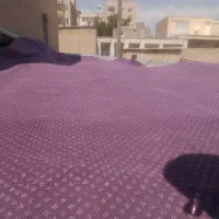 موکت سالم