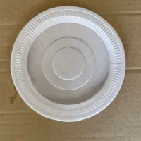 بشقاب پیش دستی یکبار‌ مصرف