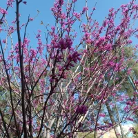 یک عدد فلش پیدا شده