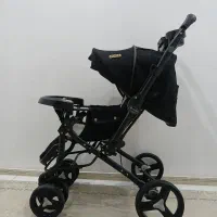 کالسکه دلیجان درحدنو