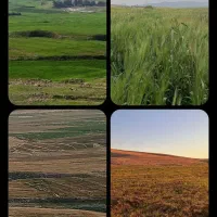 فروش زمین ابی سیستمی یک هکتار نیم