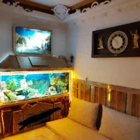 اکواریوم دو متری با کابینت هاکلاس اصل