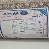 فرش ماشینی ۱۲متری|فرش|سمنان, |دیوار