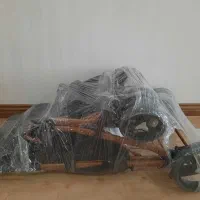 کالسکه دلیجان بدنه رزگلد