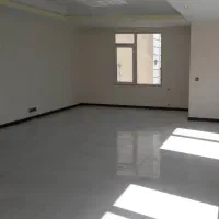 نیرو برای نظافت