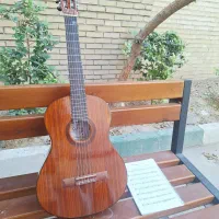 گیتار مدل G2 plus