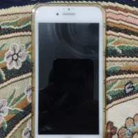 سیکس اس مفت فروش استسنایی