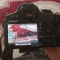 دوربین عکاسی و فیلمبرداری CANON 500D