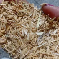 ده کیسه پوشال برنج