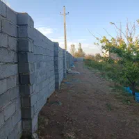 باغ انگور  ۸۵۰۰ متر چهاردیواری|فروش دفتر صنعتی، کشاورزی، تجاری|قزوین, |دیوار