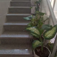 منزل اجاره ای سه خوابه