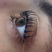 لیفت و لمینت مژه و ابرو ۲۵۰