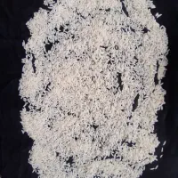 برنج طارم هاشمی درجه ۱ ، مستقیم از مزرعه