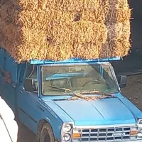 کمل ،کاه شالی|لوازم جانبی حیوانات|دابودشت, |دیوار