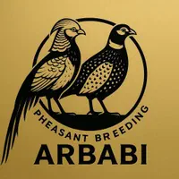 قرقاول|حیوانات|تهران, اباذر|دیوار