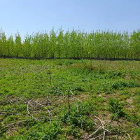 6850-متر-زمین-باغی-با-مجوز-4500-متر-گلخانه