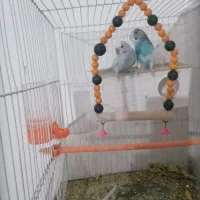 گنجه.بوفه|بوفه، ویترین، کنسول|مشهد, رسالت|دیوار