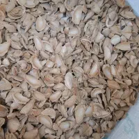 پوست چوبی بادام و گردو