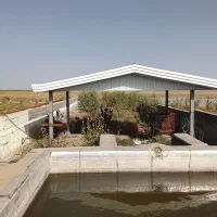 550 متر باغ در ساوه
