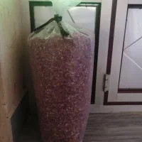 گل محمدی خشک|خوردنی و آشامیدنی|مراغه, |دیوار