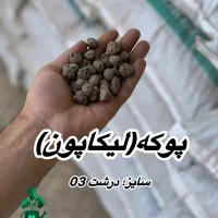 پوکه. لیکاپون. هیدروپونیکـ|عمدهفروشی|پاکدشت, پاکدشت (مامازند)|دیوار