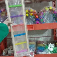 پخش عمده لوازم پرنده|لوازم جانبی حیوانات|خاوران, |دیوار