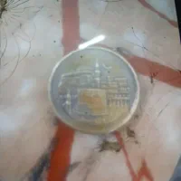 سکه|کلکسیون سکه، تمبر، اسکناس|اصفهان, شهید رجایی|دیوار