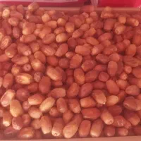 قصب|خوردنی و آشامیدنی|بوشکان, |دیوار