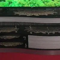 میز‌‌تلزیون