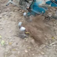شخم زنی